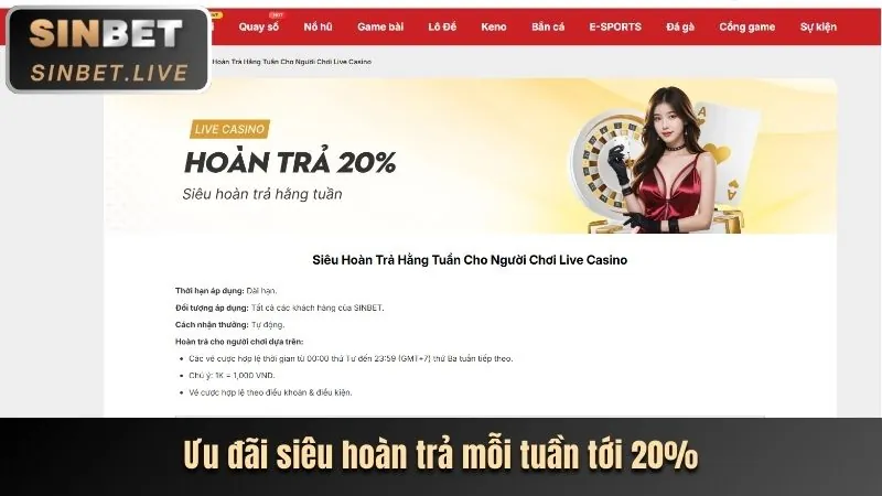 Hoàn trả thua cược hello88 today